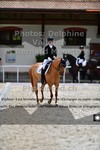 ref. photo 3221051