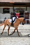 ref. photo 3221053