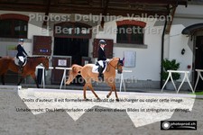 ref. photo 3221080