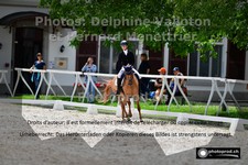 ref. photo 3221081