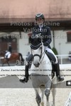 ref. photo 3221126