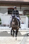 ref. photo 3221158
