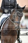 ref. photo 3221160
