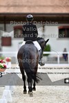 ref. photo 3221170