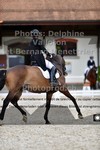 ref. photo 3221227