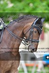 ref. photo 3221239