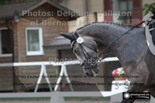 ref. photo 3221270