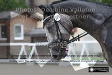 ref. photo 3221279