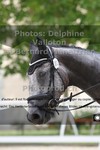 ref. photo 3221292