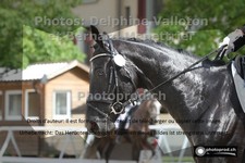 ref. photo 3221298