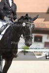 ref. photo 3221300