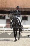 ref. photo 3221303