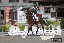 ref. photo 3221312