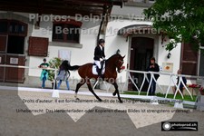 ref. photo 3221326