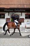 ref. photo 3221347
