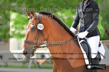 ref. photo 3221378