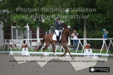 ref. photo 3221484