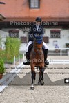 ref. photo 3221517