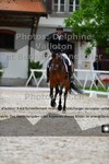 ref. photo 3221594