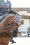 ref. photo 3221602