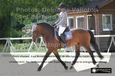 ref. photo 3221606