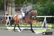 ref. photo 3221615