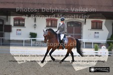 ref. photo 3221623