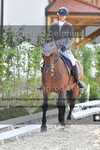 ref. photo 3221649