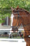 ref. photo 3221662