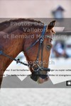 ref. photo 3221674