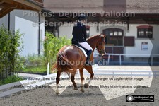 ref. photo 3221693