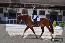 ref. photo 3221708