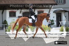 ref. photo 3221722