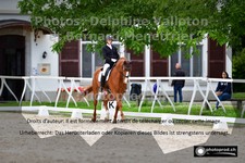 ref. photo 3221740