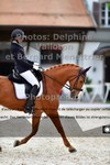 ref. photo 3221751