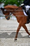 ref. photo 3221753