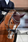 ref. photo 3221758