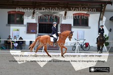 ref. photo 3221774