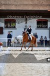 ref. photo 3221782