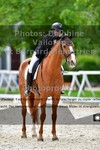 ref. photo 3221793