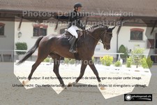 ref. photo 3221801