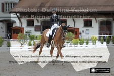 ref. photo 3221819