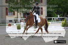 ref. photo 3221834