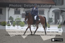 ref. photo 3221886