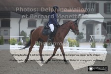 ref. photo 3221887