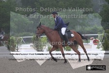 ref. photo 3221891
