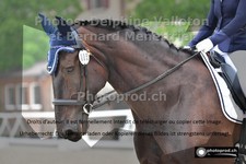 ref. photo 3221926