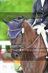 ref. photo 3221947