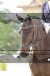 ref. photo 3222024