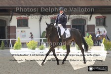 ref. photo 3222031